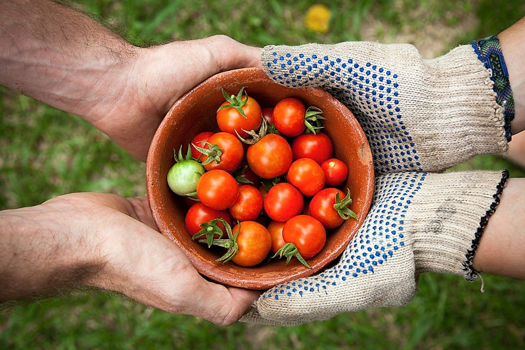 Tips for Diversifying Produce Sources in Retail